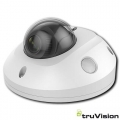 TruVision IP Wedge Camera 2Mpx 2.8mm IR 10m IP67 grigio